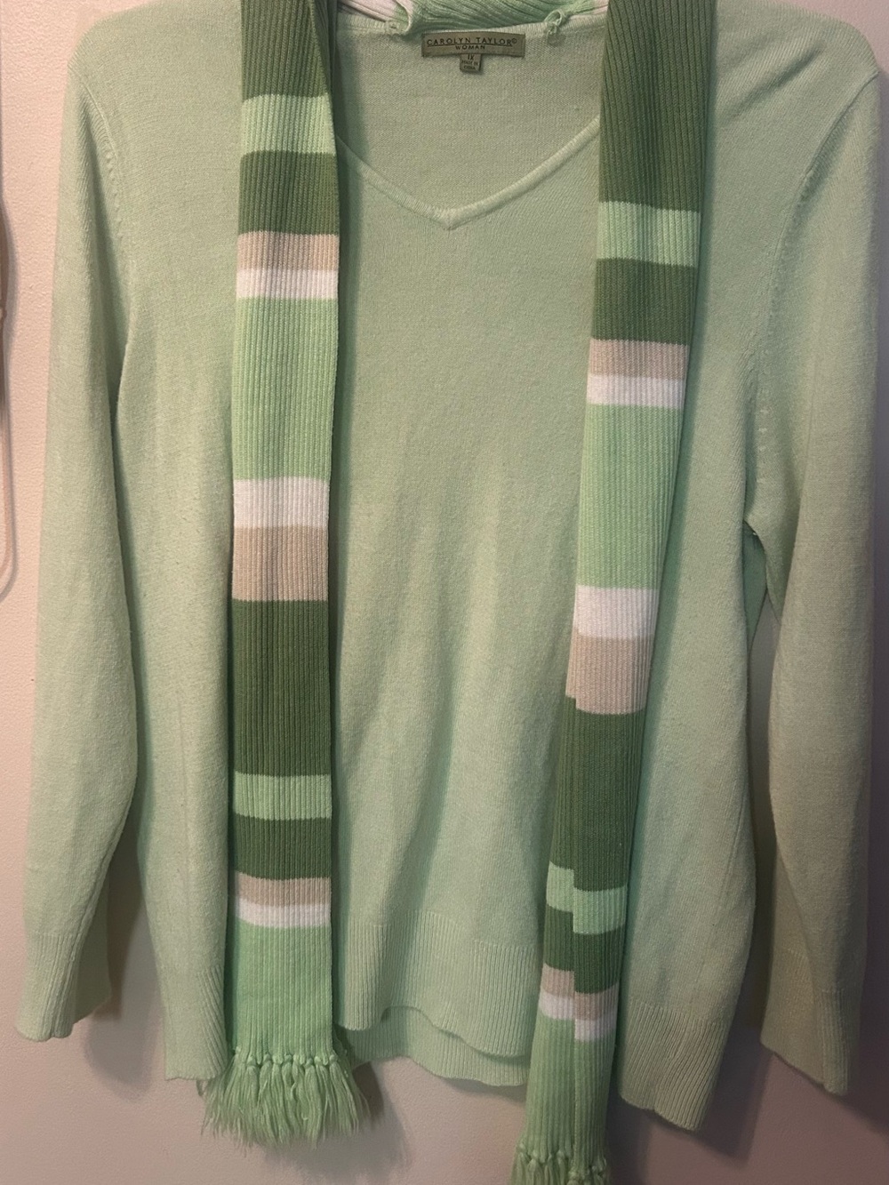 Carolyn Taylor Mint Green V-Neck Sweater with Striped Scarf
